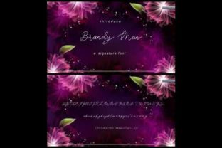 Brandy Jelly Duo: Elegant Script Fonts for Small Business Branding