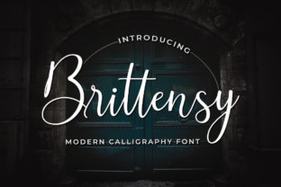 Brittensy Font for Feminine Branding & Elegant Design
