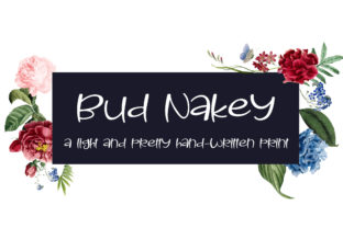 Bud Nakey Font for Casual Script Branding