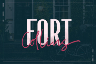 Fort Collins Font: Classy & Casual Script Handwritten Fonts