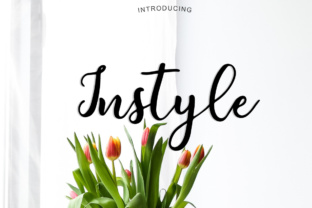 Instyle Font: A Lovely Handwritten Brush Script for Branding