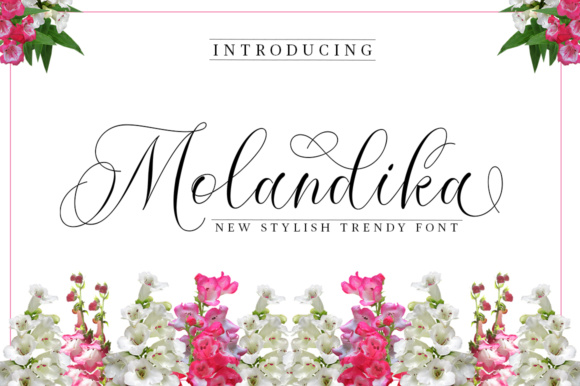 Molandika Script Handwritten Font for Elegant Branding