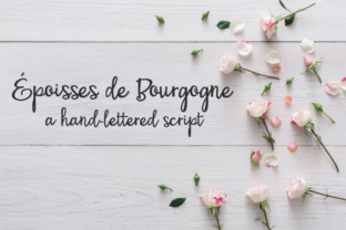 PN Époisses De Bourgogne: A Script Handwritten Font with Quiet Charm